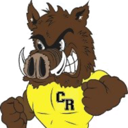 Group logo of Chestnut Ridge Middle School